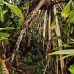 nusalavu_v_0705_0046.jpg